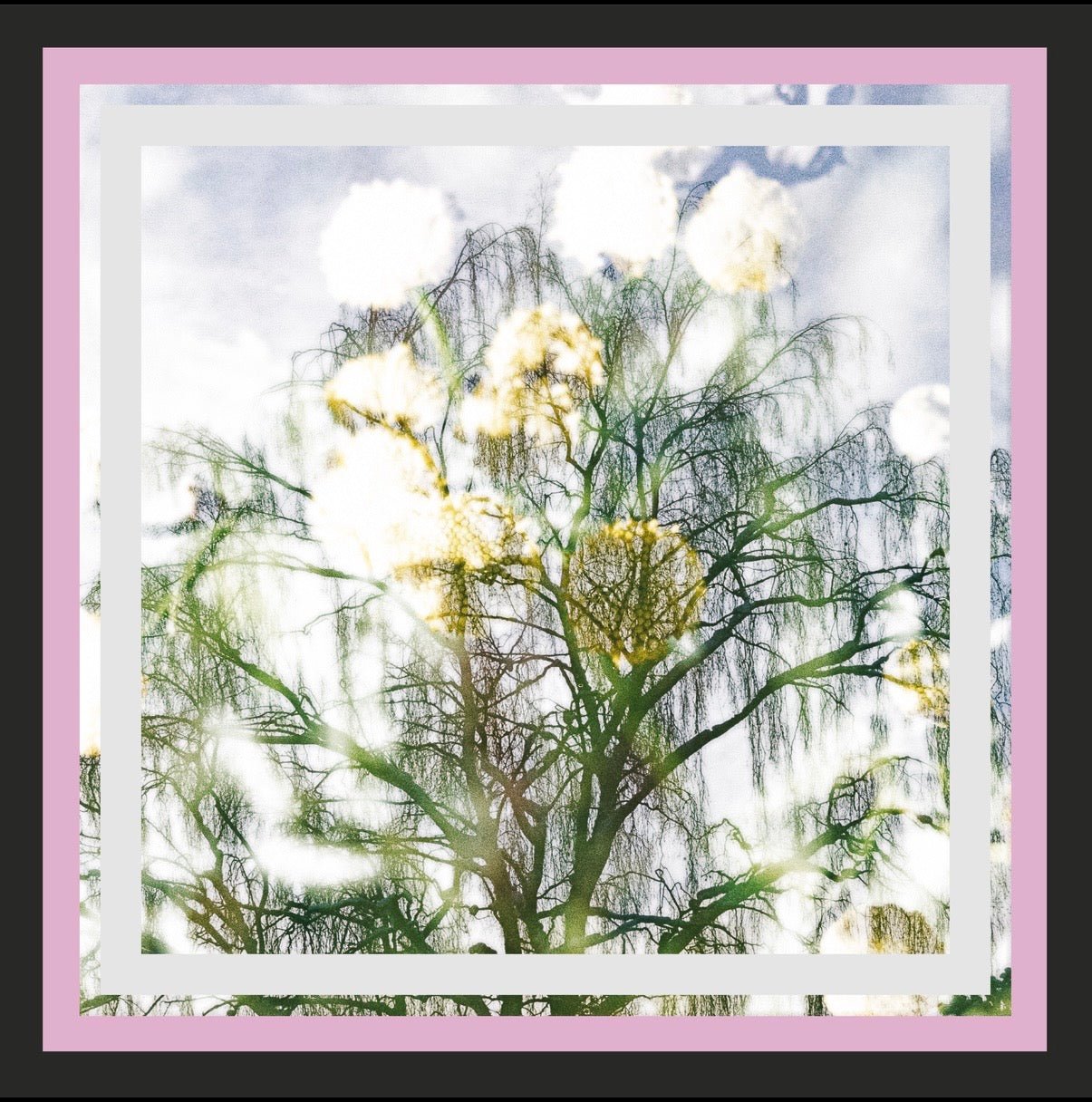 PINK FOREST SCARF