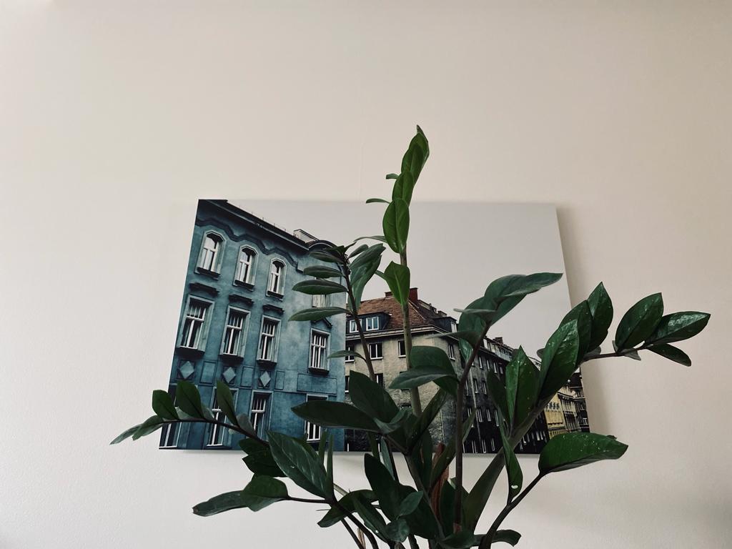 KOLME VÄRVIGA MAJAD