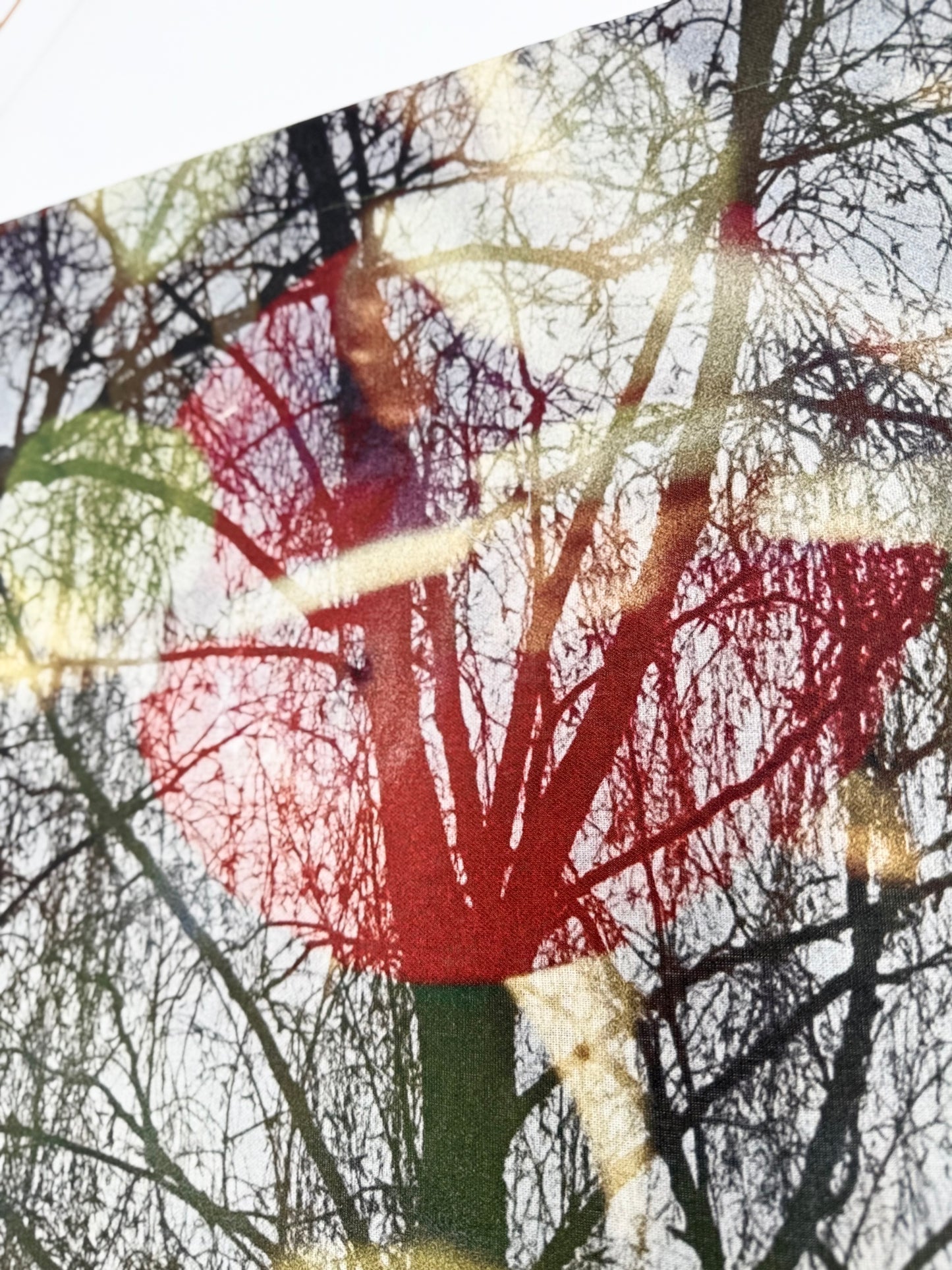 SEINAPILT "METSAS"