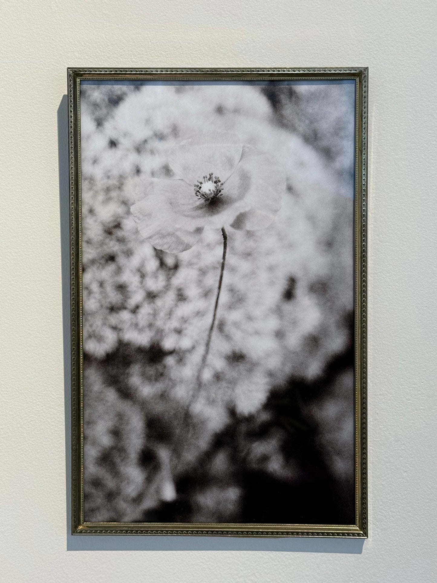 POPPY PICTURE • UPCYCLED