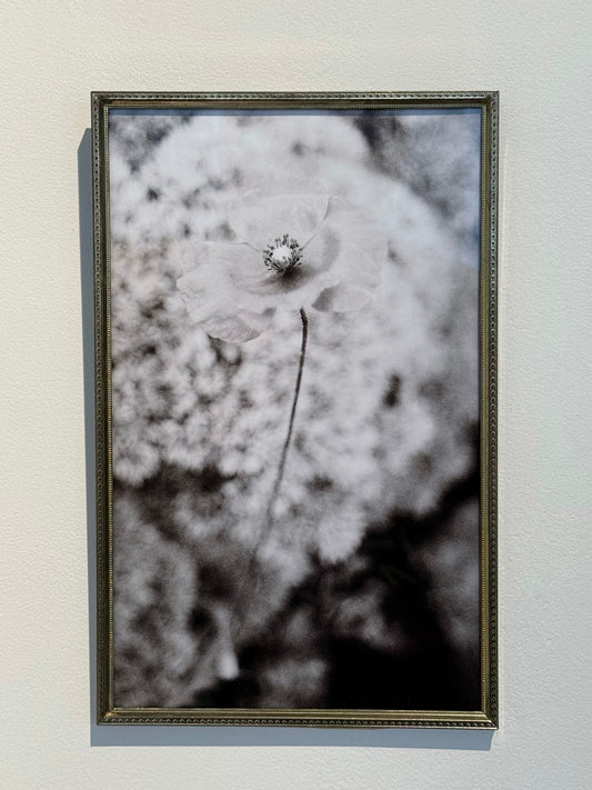 POPPY PICTURE • UPCYCLED