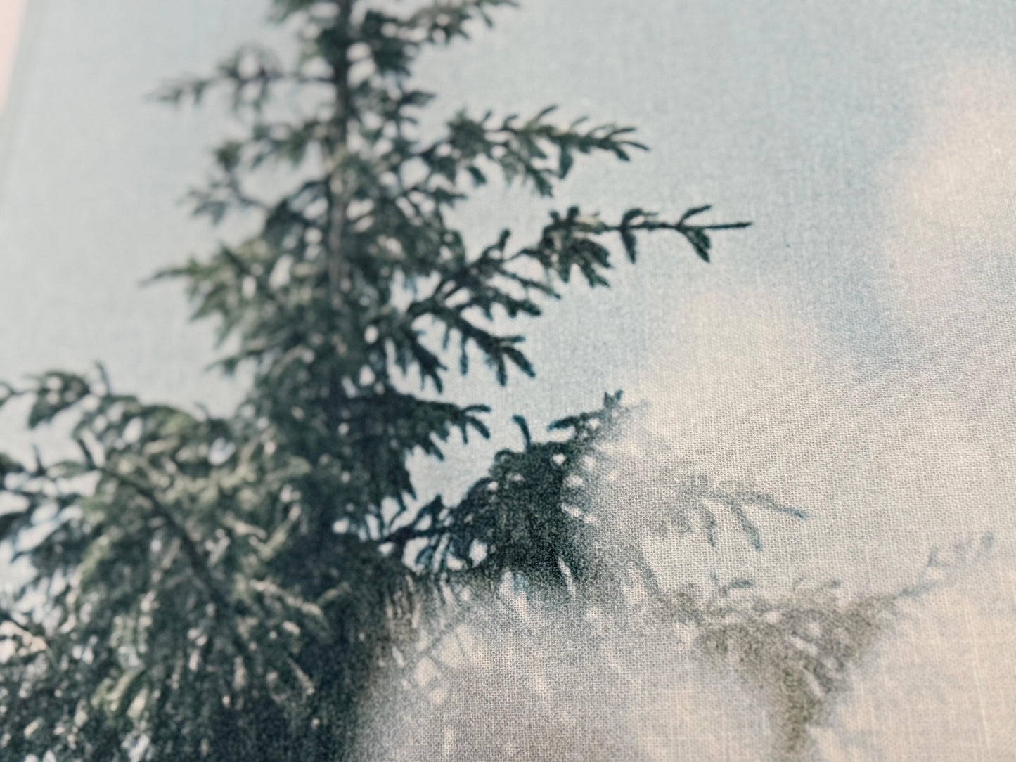 KUUSED JA VALGED MARJAD